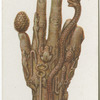 The Hand
