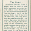 The Heart