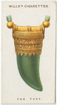 The Tusk