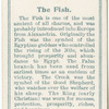 The Fish