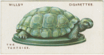 The Tortoise