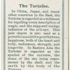 The Tortoise