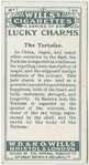 The Tortoise