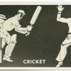 Cricket.