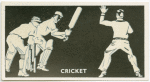 Cricket.