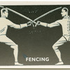Fencing.