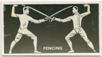 Fencing.