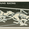 Greyhound Racing.