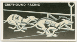 Greyhound Racing.