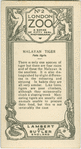 Malayan Tiger.