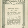 Spotted Hyena.