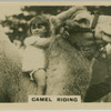 Camel Riding.