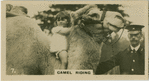 Camel Riding.