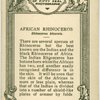 African Rhinoceros.