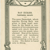 Bay Duiker.