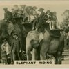 lephant Riding.