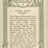 Tiger "Sam".