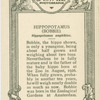 Hippopotamus " Bobbie".