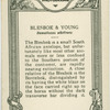 Blesbok and Young.