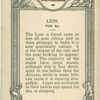 Lion.