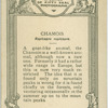 Chamois.