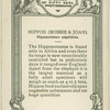 Hippos " Bobbie and Joan".
