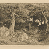 Chênes de roche (2nd state)