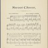 Sweet clover