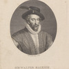 Portrait with brimmed hat
