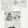 Foreigners in early Japan.