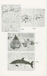 Foreigners in early Japan.