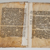 Samaritan Bible