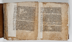 Folios 13v-14r: Genesis 7:21-8:20