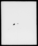 Le Papillon