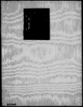 Brown rosary, The. Holograph.