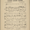 Coon, coon, coon