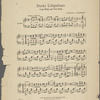 Dusky Liliputians