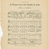 A flower from the garden of life