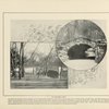 In Prospect Park