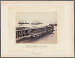 View of the Great Pier with shipping waiting for guano