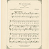 The love-lorn Lily