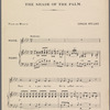 The shade of the palm