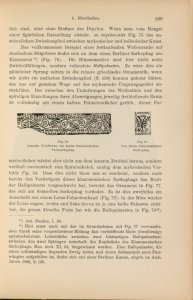 Stilfragen : Grundlegungen zu einer Geschichte der Ornamentik