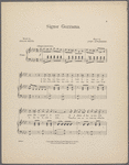 Signor Gazzama