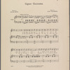 Signor Gazzama