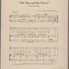 The star and the flower