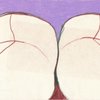 Untitled, Erotic Body