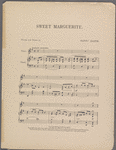 Sweet Maguerite