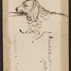 Original pencil sketch of Elizabeth Barrett Browning's dog, Flush. 