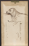 Original pencil sketch of Elizabeth Barrett Browning's dog, Flush. 
